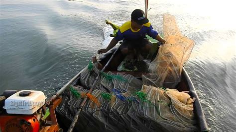 Proses Angkat Pasang Jaring Bubu Naga Kepiting Udang Ikan Kerapu Youtube