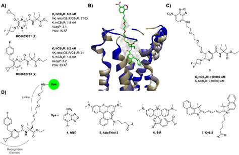 A) Drug discovery derived agonists 1 and 2, used as starting points for ...