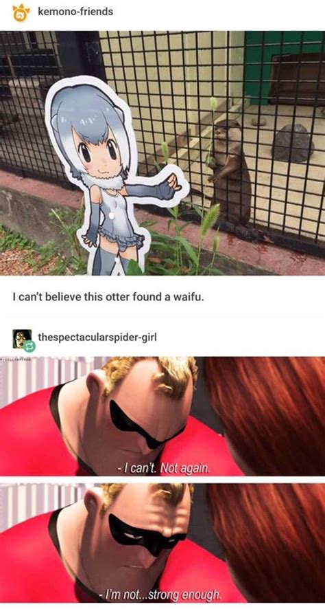 I Cant Believe This Otter Found A Waifu I Can T Not Again I M