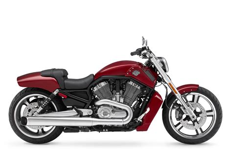 Harley Davidson V Rod Muscle Vrscf