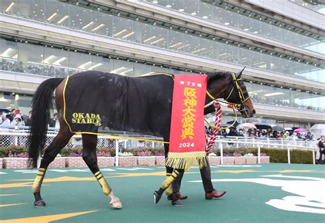 まさに帝王だ！テーオーロイヤル5馬身差圧勝 菱田騎手「反応すごく良かった」／阪神大賞典 競馬写真ニュース 日刊スポーツ