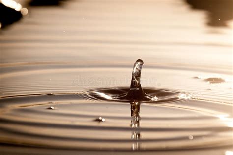 Ondulazioni Dalle Goccioline Di Acqua Che Cadono In Uno Stagno Al