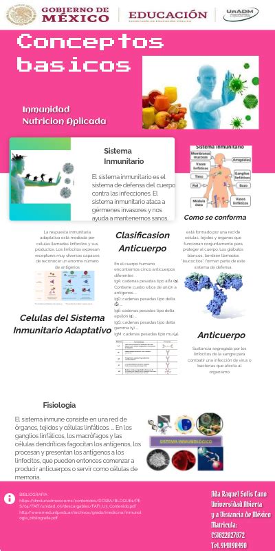 Infografia Sistema Inmunologico