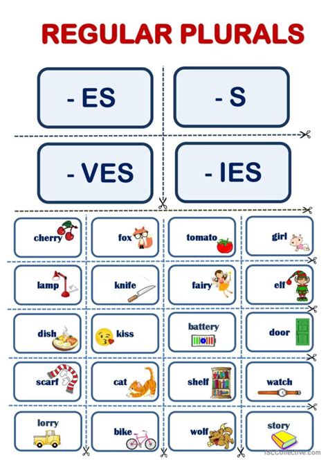 Regular Plurals Vocabulary Flashcard English Esl Worksheets Pdf Doc