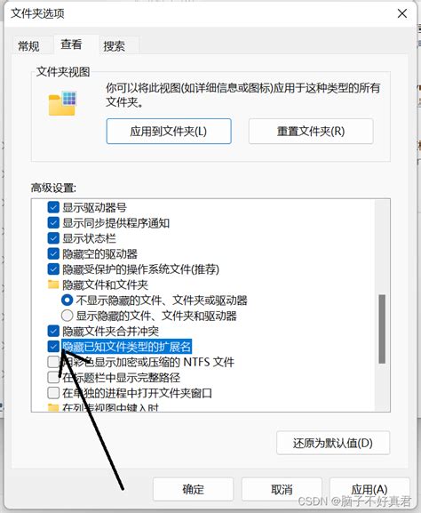 Win11怎么修改文件后缀win11改后缀改不了文件类型 Csdn博客