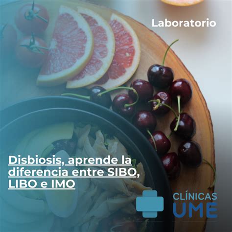 Análisis de laboratorio Disbiosis aprende la diferencia entre SIBO