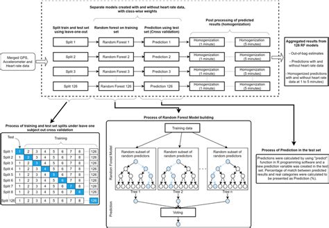 Flow diagram of the analysis process | Download Scientific Diagram