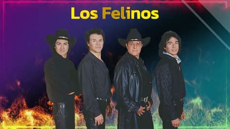 Los Felinos Flor Morena Musica Del Recuerdo Exitos Del Ayer Lyrics