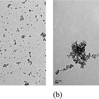 Zeta Potentials Of COOH MNPs Unconjugated Ab And Ab MNPs Conjugated