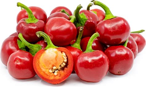 Перец Черри Фото – Telegraph
