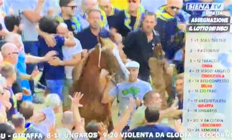 Atelier Di Giuseppe Ponticelli Palio Di Siena Del Agosto La