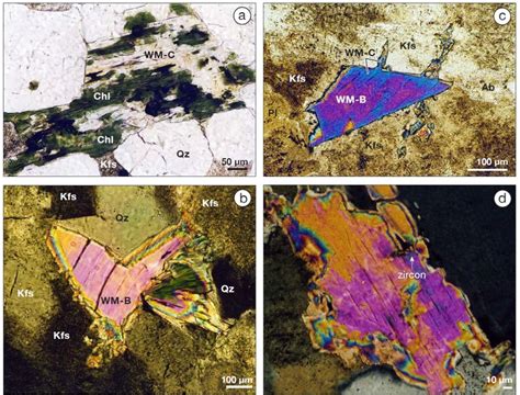 A Totally Altered Biotite Now Consisting Of White Mica Wm C And