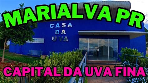 HD MARIALVA PR CAPITAL DA UVA FINA YouTube