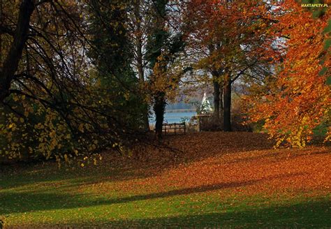 Tapety zdjęcia Jesień Ławka Liście Drzewa Park