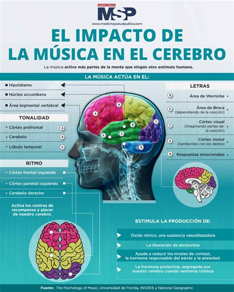 El Impacto De La M Sica En El Cerebro Infograf A