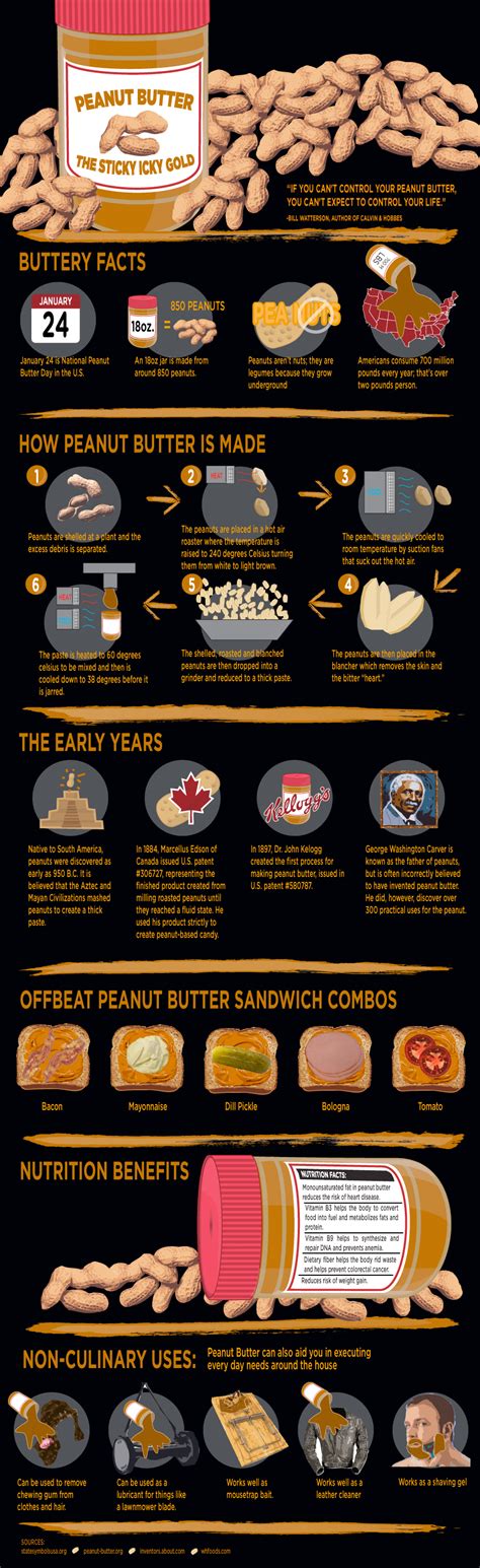 Glorious Peanut Butter: History, Who Invented it, How it is Made & More!