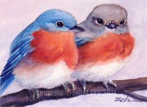 Zeh Original Art Blog Watercolor and Oil Paintings: Eastern Bluebirds