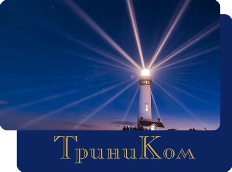 ТриниКом. Транспортно-логистическая компания.