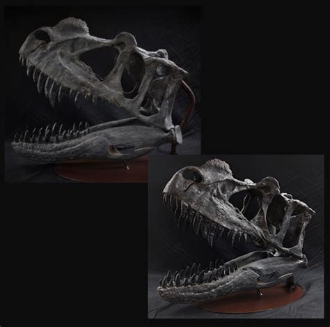 Ceratosaurus Skull - Gaston Design, Inc.