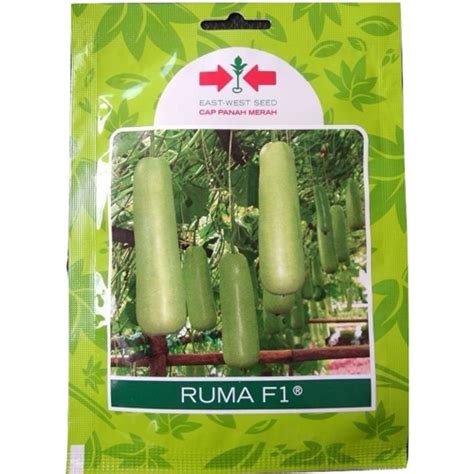 Jual Benih Labu Air Ruma F Gram Bibitbunga