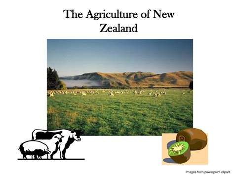 Ppt The Agriculture Of New Zealand Powerpoint Presentation Free