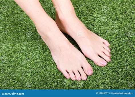 Beautiful Slim Female Feet On Green Grass Stock Image Image 12085537