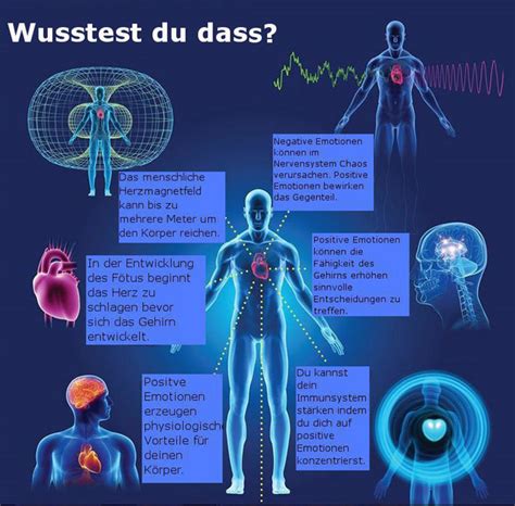 Das Herz Gehirn Resonanz Muster Beweis Für Unsere Kraft Frieden Zu