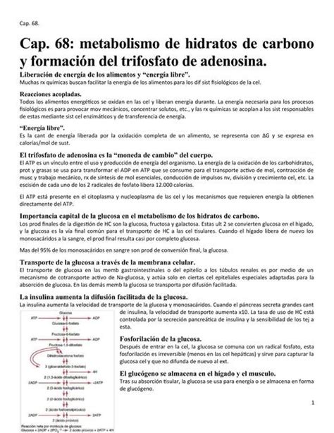 Metabolismo de los Hidratos de Carbono y Formación del Trifosfato de