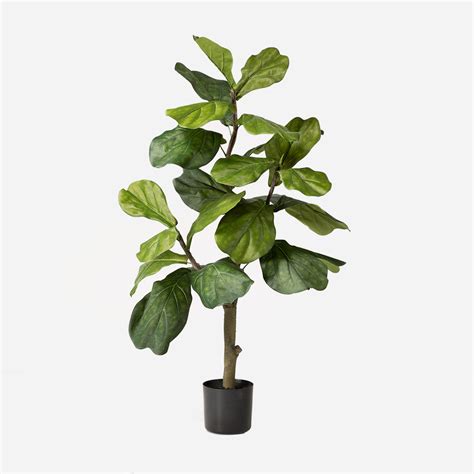 Kunstplant Ficus Lyrata Cm Hoogwaardige Kwaliteit Floraworks