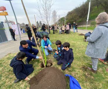 En el Centro Interactivo de los Conocimientos se plantan 100 árboles