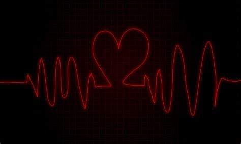 Heartbeat Free Stock Photo - Public Domain Pictures