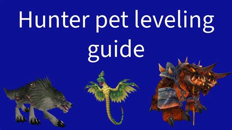 Sod How To Level Up Your Pets Fast In Season Of Discovery Youtube