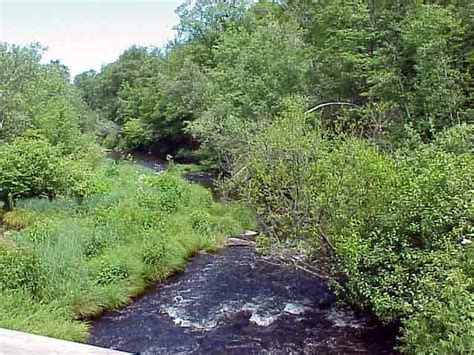 Envirsci Inquiry Lehigh River Watershed Explorations