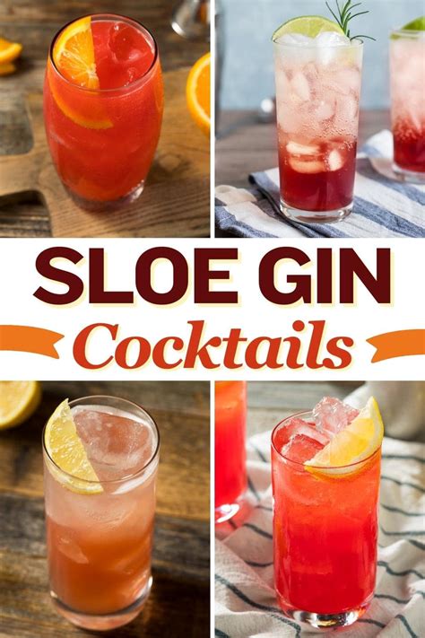 10 Best Sloe Gin Cocktails To Try At Home Insanely Good