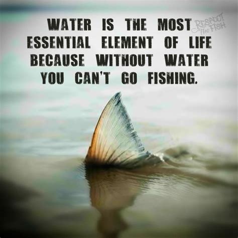 17+ images about Fishing Quotes & Sayings on Pinterest | Gave up, Posts ...