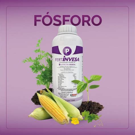 Fertilizante LÍquido Fertinvesa P FÓsforo