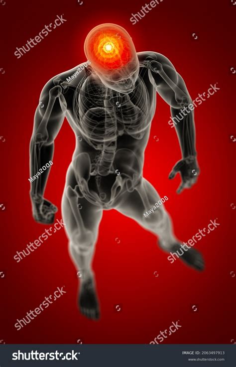 3d Rendering Human Brain X Ray Stock Illustration 2063497913 | Shutterstock 