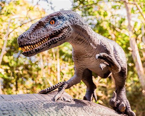 Parque dos dinossauros de Miguel Pereira abrirá as portas em outubro