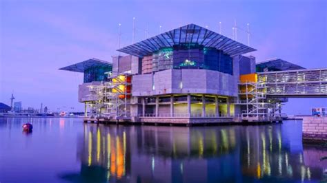 How to Get to the Aquarium in Lisbon: Your Ultimate Guide to Exploring ...