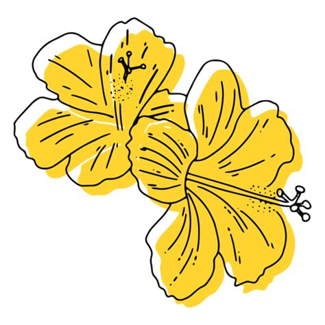 hawaiian flowers transparent png