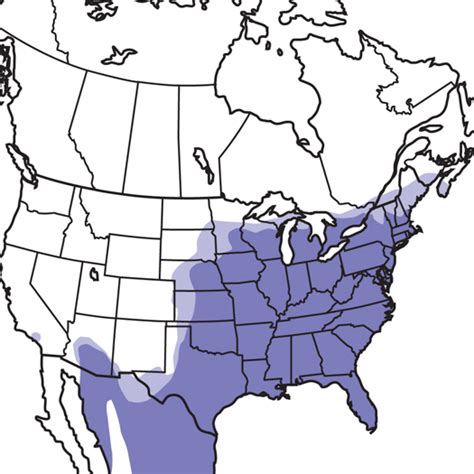 Northern Cardinal Audubon Field Guide