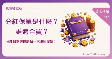 分紅保單是什麼？分紅保單跟利變型保單、投資型保單有什麼不一樣？