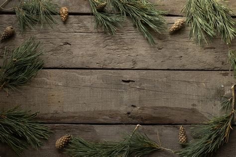 Pine Wood Texture Photos, Download The BEST Free Pine Wood Texture ...