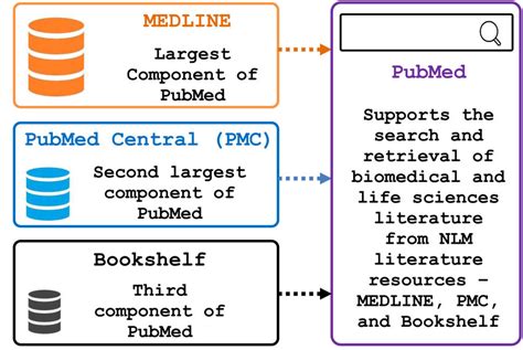 Relation Of Pubmed With Medline Pubmed Central And Bookshelf