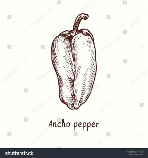 1,046 Ancho Pepper Images, Stock Photos & Vectors | Shutterstock