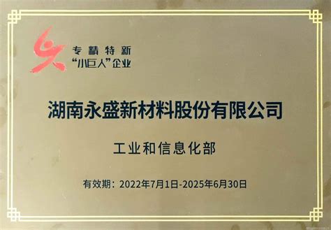 国家级专精特新“小巨人”企业 湖南永盛新材料股份有限公司