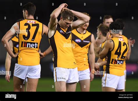 Ben Mcevoy Of Hawthorn Centre Looks Dejected After Being Defeated By