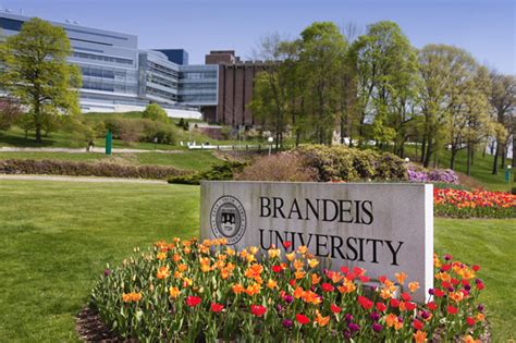 news ranks brandeis   top national university brandeisnow