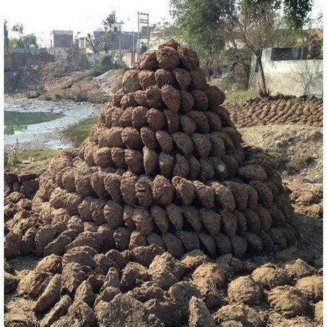 Round Cow Dung Cake At Rs 2 Piece Cow Waste In Mumbai ID 18362362773