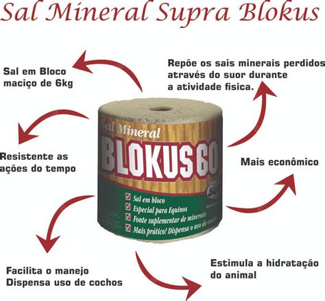 Bloco Sal Mineral Blokus Para Cavalo Nutri O Equina Supra Chic